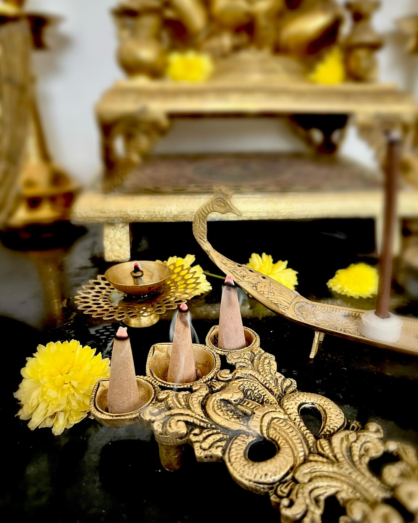 Panchagavya Sambrani Cones - Fragrance free - 100 gms