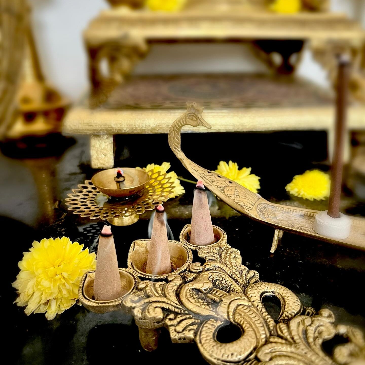 Panchagavya Sambrani Cones - Fragrance free - 100 gms