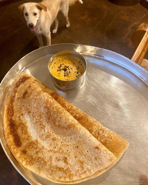 Dosa Batter - My Mom's house proportion