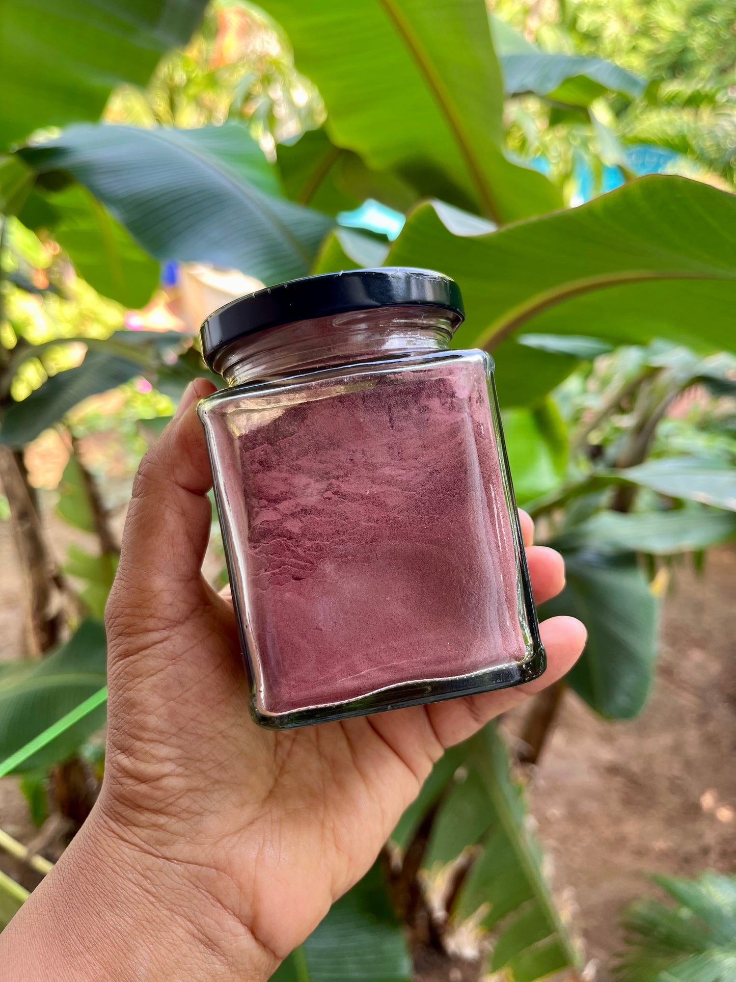 Beetroot powder - 100 gms no